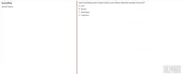 ITE302c SP25 FE_002.webp