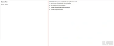 ITE302c SP25 FE_040.webp