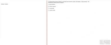 ITE302c FA24 FE_009.webp