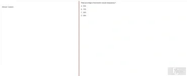 ITE302c FA24 FE_041.webp