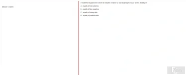 ITE302c FA24 FE_042.webp
