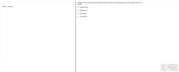 ITE302c FA24 FE_045.webp