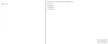 ITE302c SU24 FE RE_010.webp