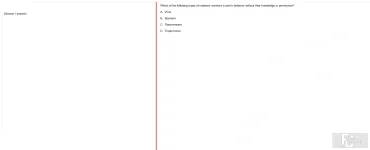 ITE302c SU24 FE_011.webp
