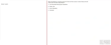 ITE302c SU24 FE_013.webp
