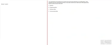 ITE302c SU24 FE_033.webp