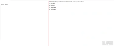 ITE302c SU24 FE_052.webp