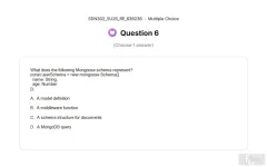 SDN302 SU26 FE RE_006.webp
