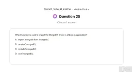 SDN302 SU26 FE RE_025.webp