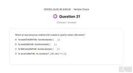 SDN302 SU26 FE RE_031.webp