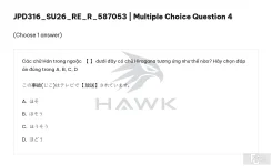 JPD316 SU26 FE R RE_004.webp