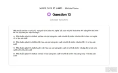 MLN131 SU26 FE RE_013.webp