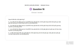 MLN131 SU26 FE RE_016.webp