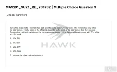 MAS291 SU26 FE RE_003.webp