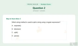 PRO192 SU26 FE RE_002.webp