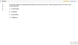 BDT202c SU26 FE_022.webp