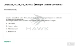 OBE102c SU26 FE_003.webp