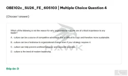 OBE102c SU26 FE_004.webp