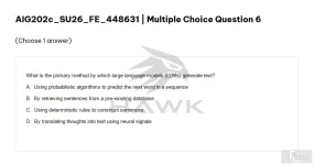 AIG202c SU26 FE_006.webp