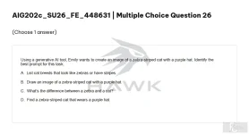 AIG202c SU26 FE_026.webp