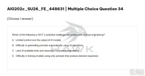 AIG202c SU26 FE_034.webp