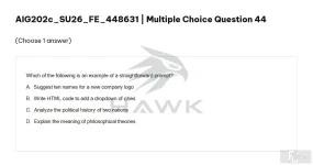 AIG202c SU26 FE_044.webp
