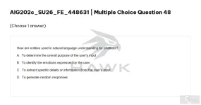 AIG202c SU26 FE_048.webp