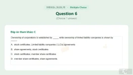SYB302c SU26 FE_006.webp