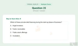 SYB302c SU26 FE_035.webp