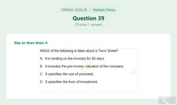SYB302c SU26 FE_039.webp