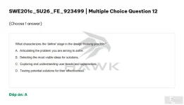 SWE201c SU26 FE_012.webp