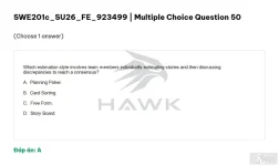 SWE201c SU26 FE_050.webp