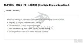 NLP301c SU26 FE_005.webp
