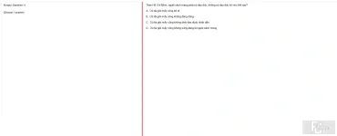 HCM202 SU25 B5 FE_004.webp