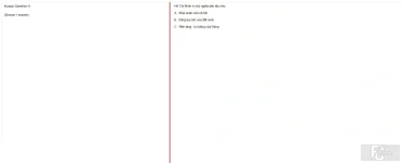 HCM202 SU25 B5 FE_006.webp