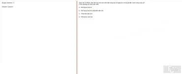 HCM202 SU25 B5 FE_011.webp