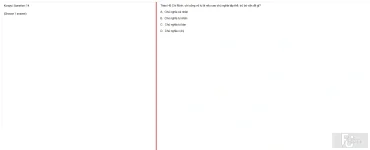 HCM202 SU25 B5 FE_014.webp