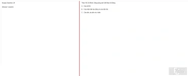 HCM202 SU25 B5 FE_029.webp