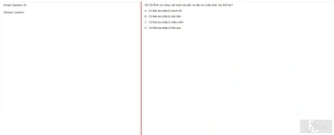 HCM202 SU25 B5 FE_030.webp