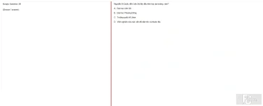 HCM202 SU25 B5 FE_038.webp