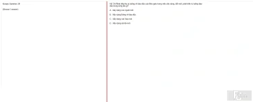 HCM202 SU25 B5 FE_039.webp