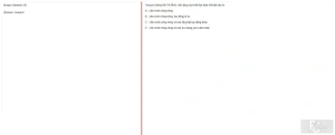 HCM202 SU25 B5 FE_050.webp