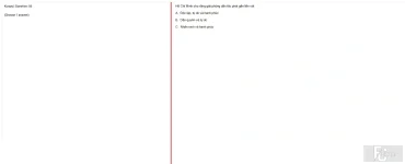 HCM202 SU25 B5 FE_056.webp