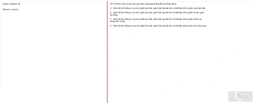 HCM202 SU25 B5 FE_058.webp