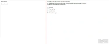 HCM202 SU25 FE_004.webp