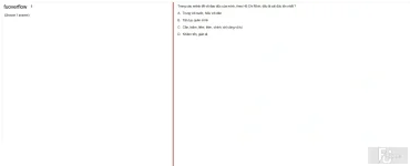 HCM202 SU25 FE_015.webp