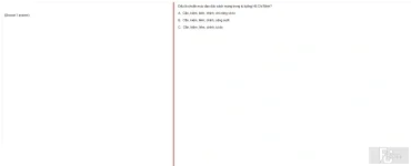 HCM202 SP25 FE_006.webp