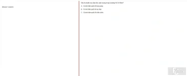 HCM202 SP25 FE_009.webp