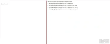 HCM202 SP25 FE_014.webp