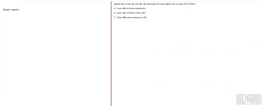 HCM202 SP25 FE_021.webp